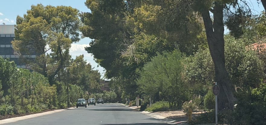 A tree-lined Las Vegas neighborhood street